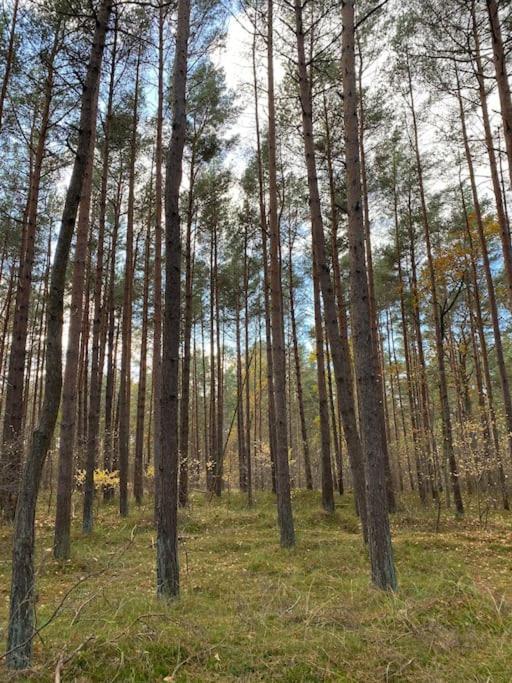 Ferienwohnung Fuer Naturliebhaber Peenemunde Exterior foto